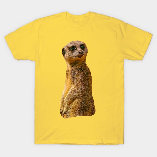 Meerkat T-Shirt by dalyndigaital2@gmail.com